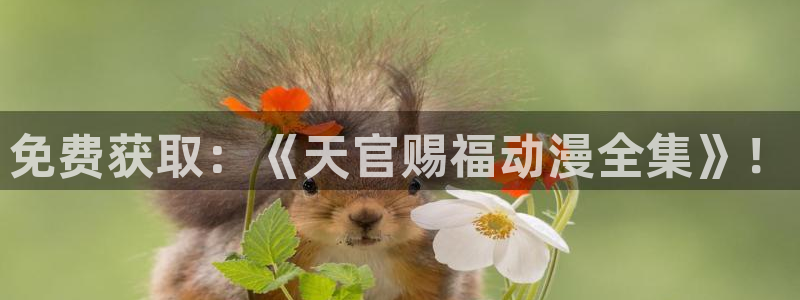 omofun动漫下载安装